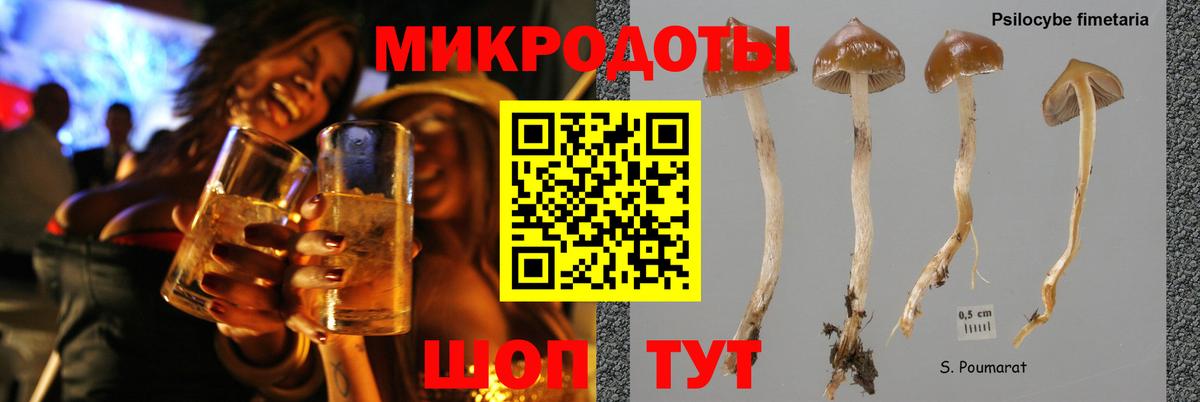Выкса  Псилоцибиновые грибы Psilocybe  купить   Галлюциногенные грибы мухоморы  Вход с VPN 